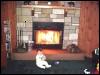 Fireplace Hearth Guard